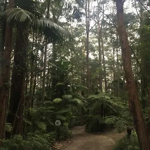 Деревянный коттедж Springbrook Mountain Chalets