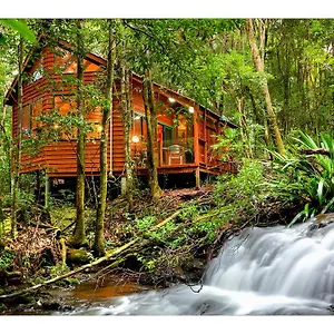 Деревянный коттедж The Mouses House Rainforest Retreat